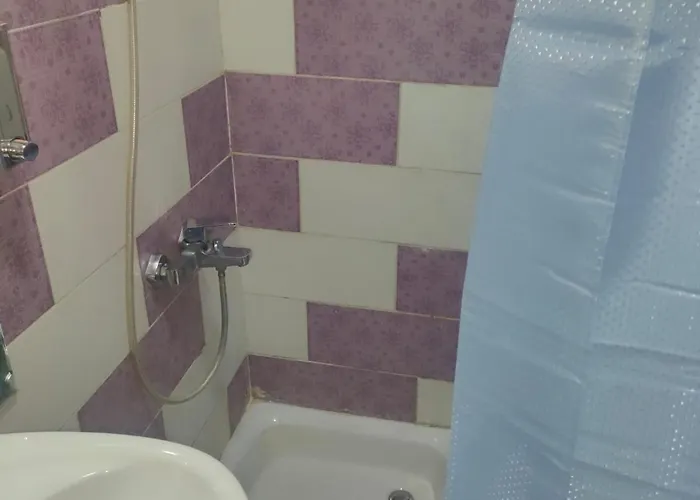 Oscar Luxury Free Wifi 15